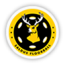 Saldus Florbols