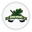 FK Ozolnieki/JN